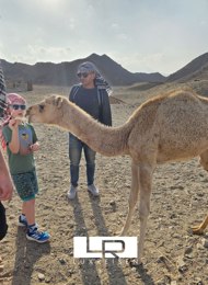 Jeep Safari Special from Hurghada – Discover the Bedouin Village Om Dalfa photo